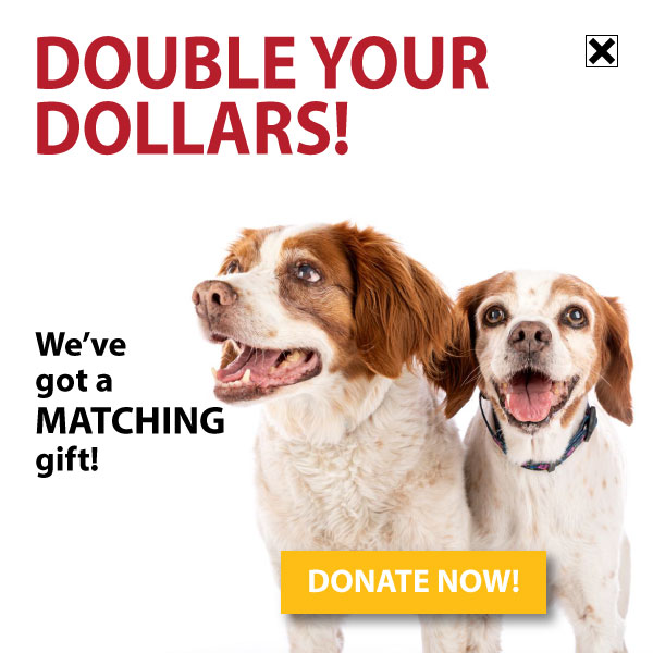 DOUBLE YOUR DOLLARS! DONATE NOW!