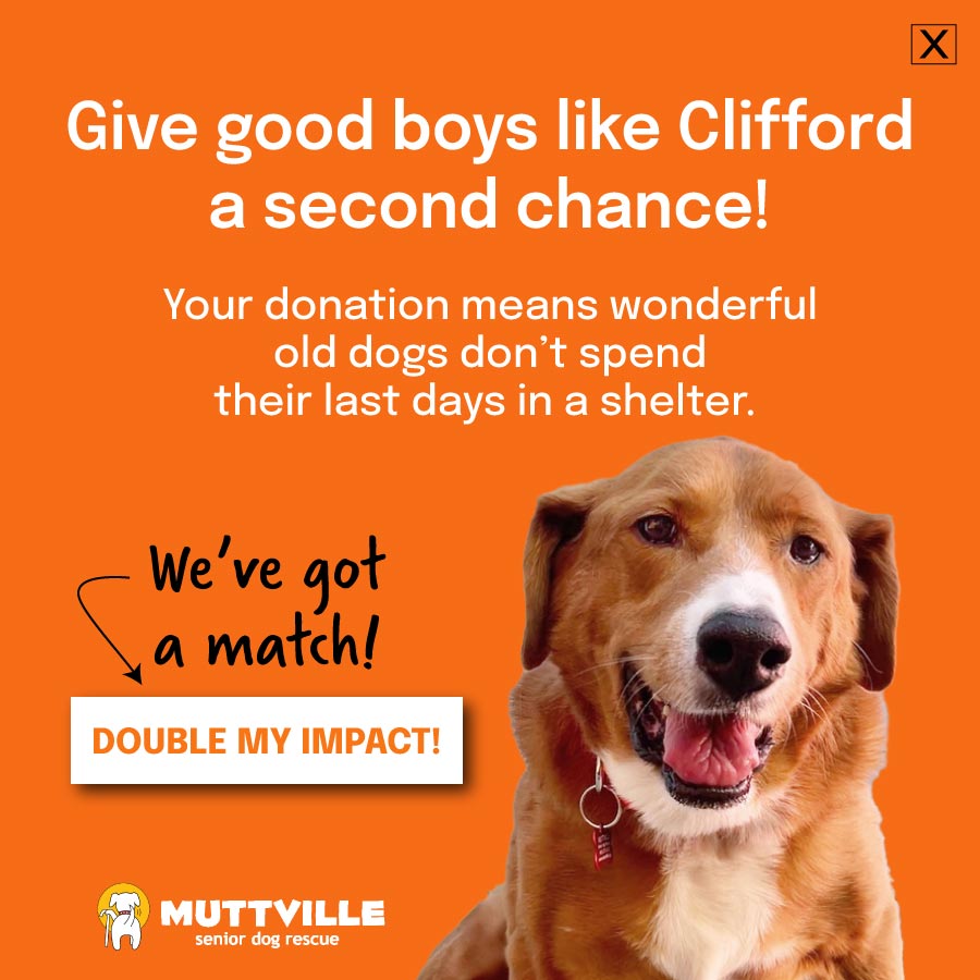 DOUBLE YOUR DOLLARS! DONATE NOW!