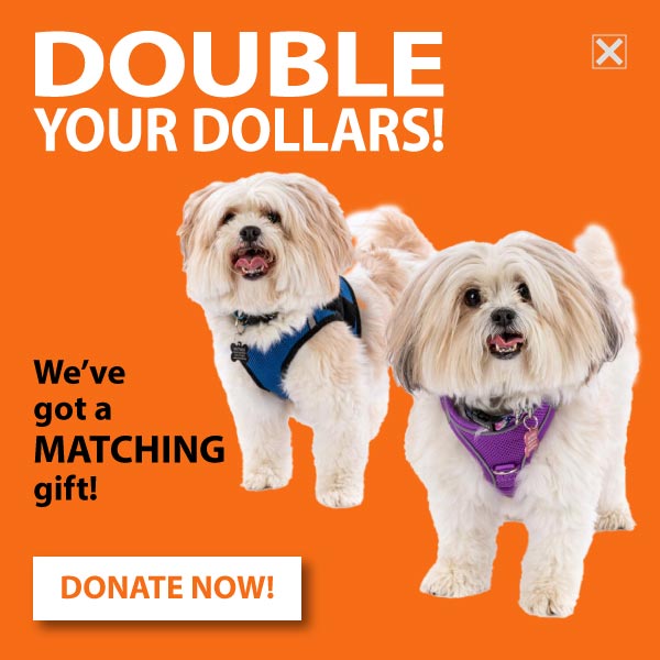 DOUBLE YOUR DOLLARS! DONATE NOW!