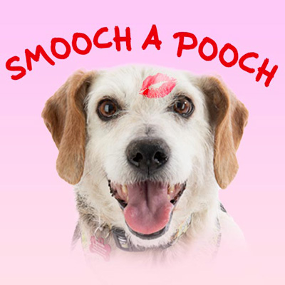 Smooch a Pooch adoption days