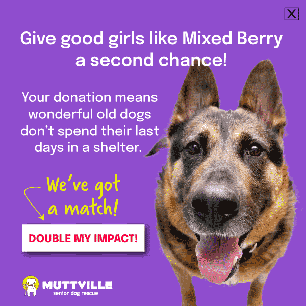 DOUBLE YOUR DOLLARS! DONATE NOW!