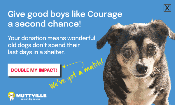 DOUBLE YOUR DOLLARS! DONATE NOW!