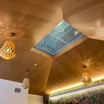 The Zen Space: Acupuncture & Physical Therapy Room