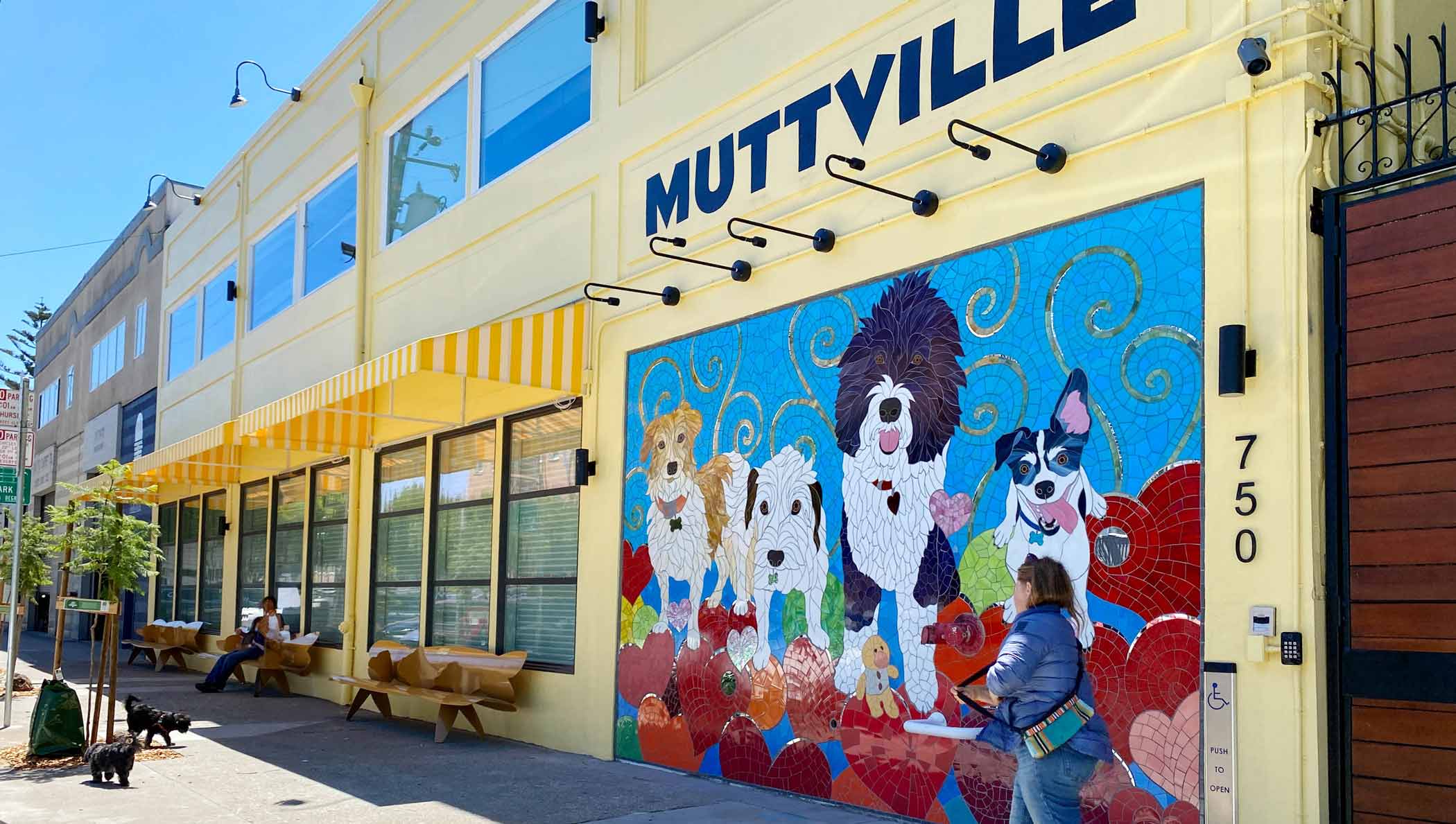 Muttville's New Forever Home