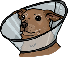 Illustration of dog wearing a cone