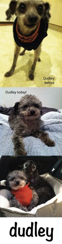 Dudley