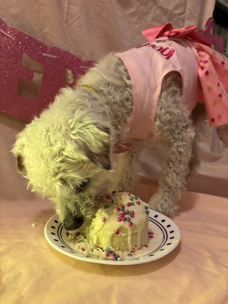 Rosie (fka Posie)