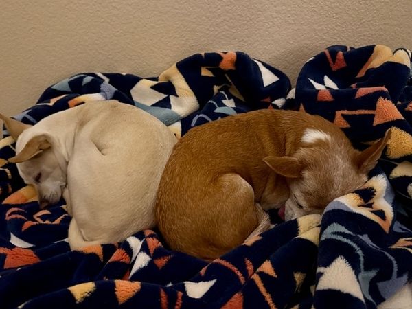 Maverick (fka Stonewall)