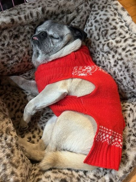 Goldie (fka California Love)