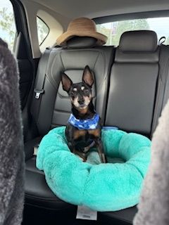 Chester (fka Red Rooster)