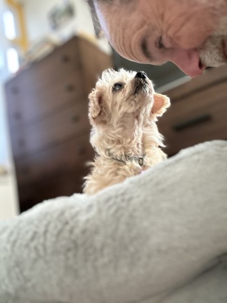 Millie the Buff (fka Peggy O)