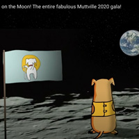 Mutts on the Moon