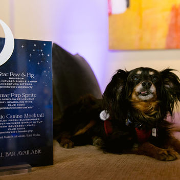 Wish Upon a Wag