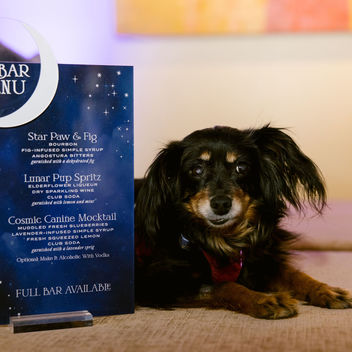 Wish Upon a Wag