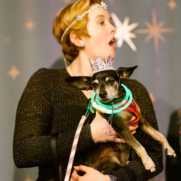 Wish Upon a Wag