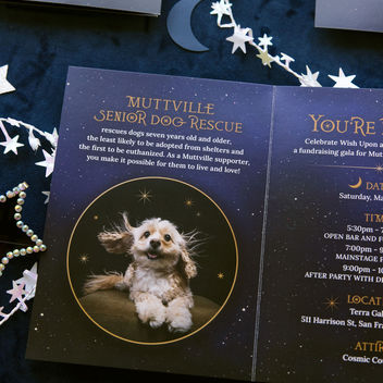 Wish Upon a Wag