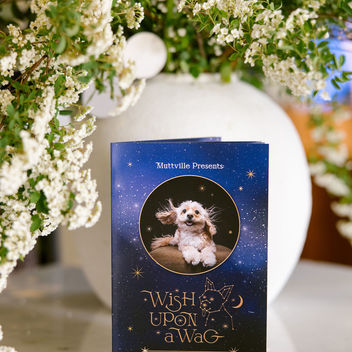 Wish Upon a Wag