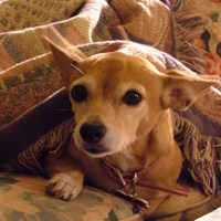 Chickie Aka Chika