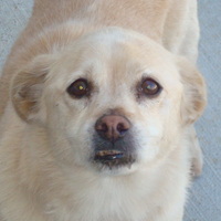 Bo