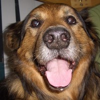 Max 2