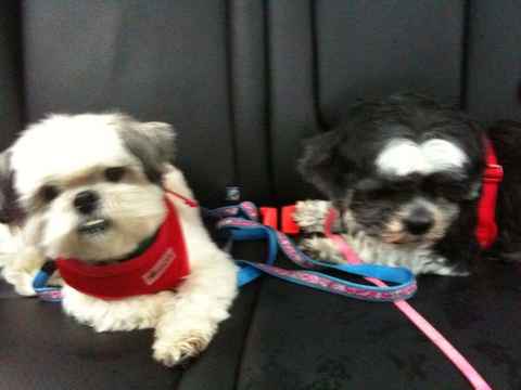 Maxine and Jack-Jack