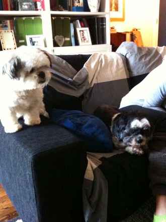 Maxine and Jack-Jack