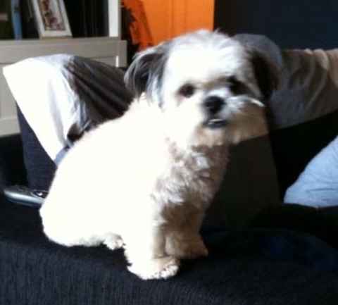 Maxine and Jack-Jack