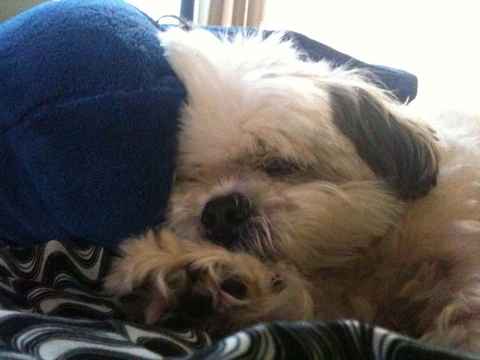 Maxine and Jack-Jack