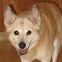 Sandy 3