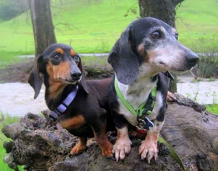 Baby Ruth & Piano Man