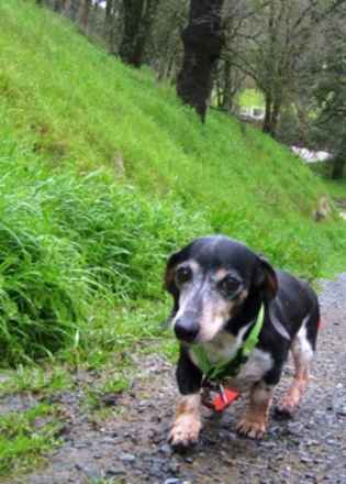 Baby Ruth & Piano Man