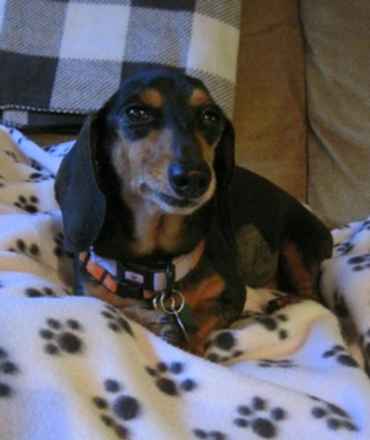 Baby Ruth & Piano Man