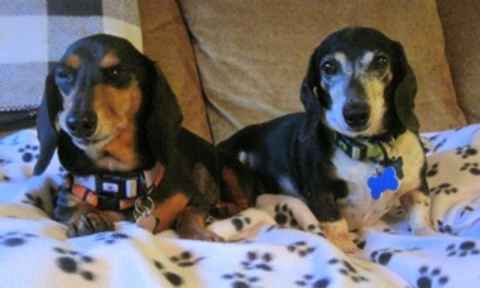 Baby Ruth & Piano Man