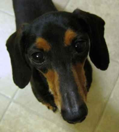 Baby Ruth & Piano Man