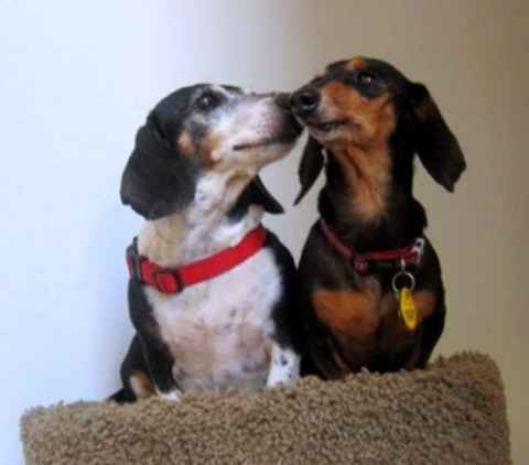 Baby Ruth & Piano Man