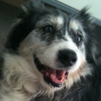 Miss Trudy