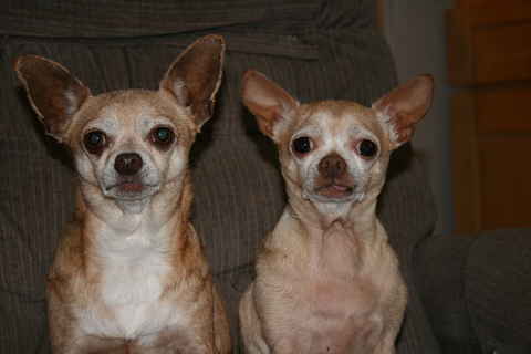 Titus and Pretty Girl