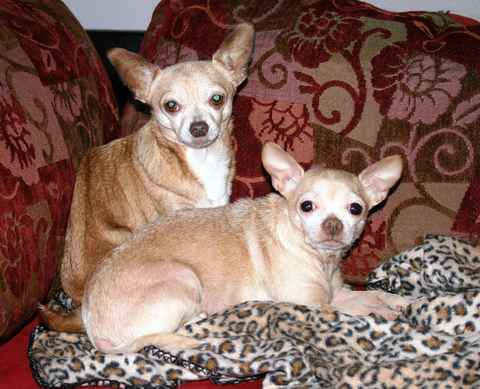 Titus and Pretty Girl