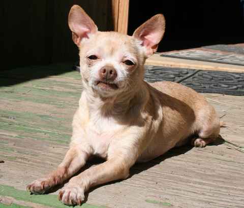 Titus and Pretty Girl