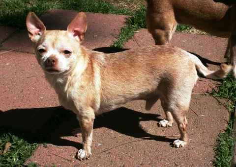 Titus and Pretty Girl