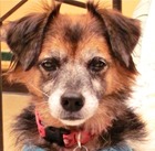 Zoey