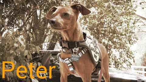 Peter