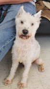 Benny