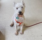Benny