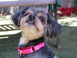 Baxter
