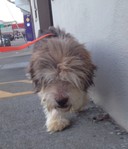 Ralph