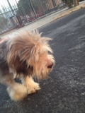 Ralph