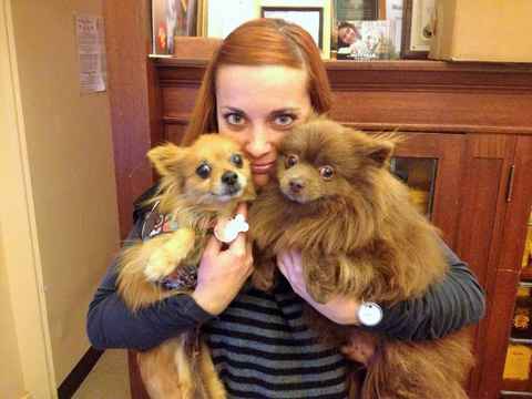 Golden Girl and Chocolate Bear