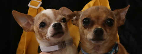 JD and Little Girl ,