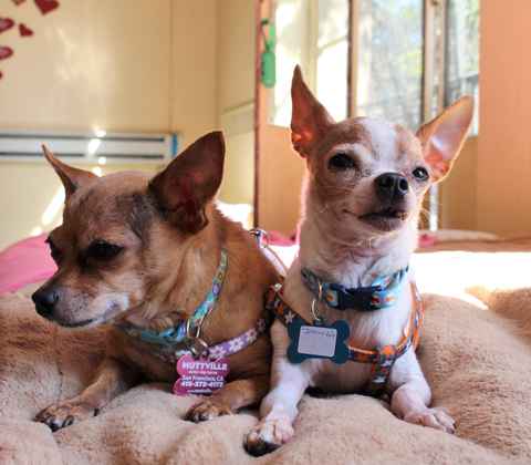 JD and Little Girl ,